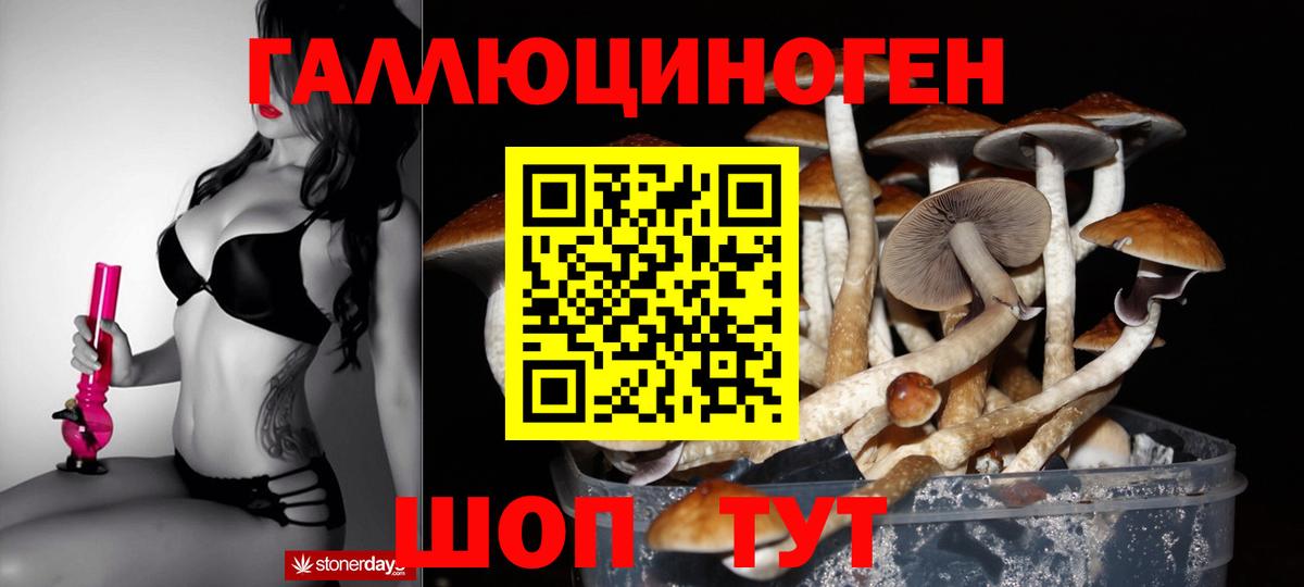 Псилоцибиновые грибы Psilocybe  Вход с VPN  Галлюциногенные грибы Psilocybine cubensis  цены   Лысьва 